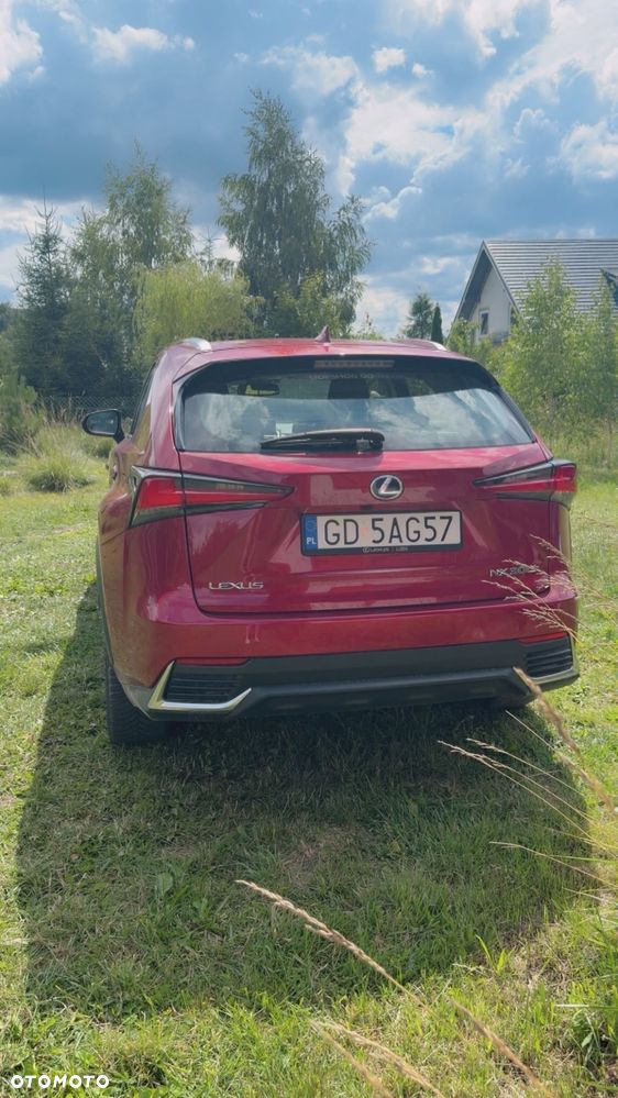 Lexus NX 300h Comfort AWD - 2