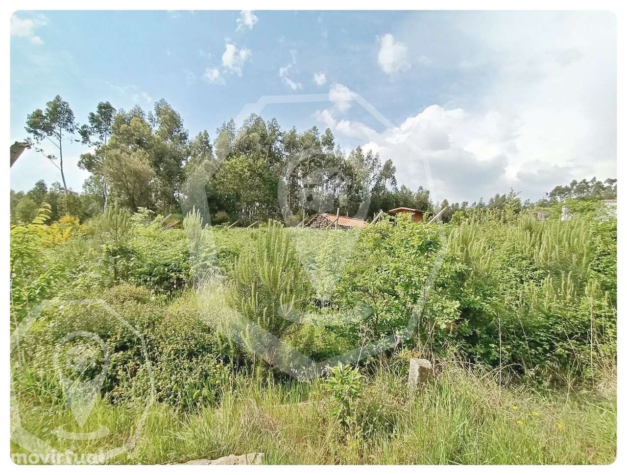 TERRENO - CAMPIA - VISEU - Grande imagem: 2/17