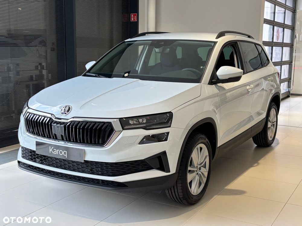 Skoda Karoq - 3