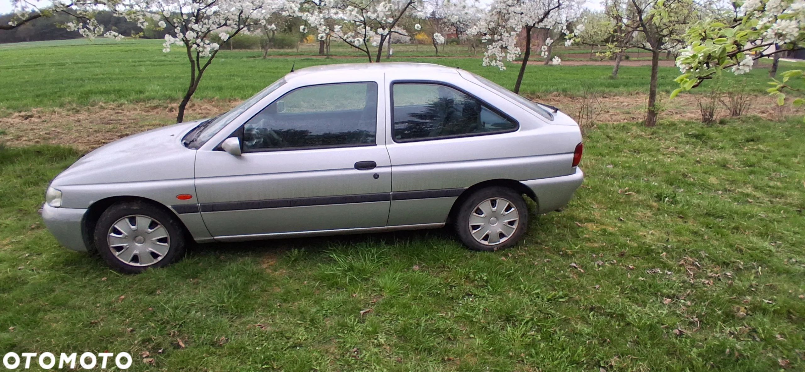 Ford Escort 1.4 Flair - 1
