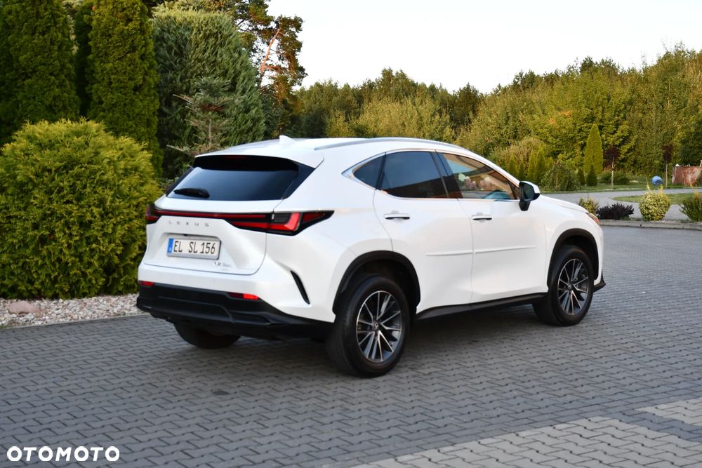 Lexus NX - 14