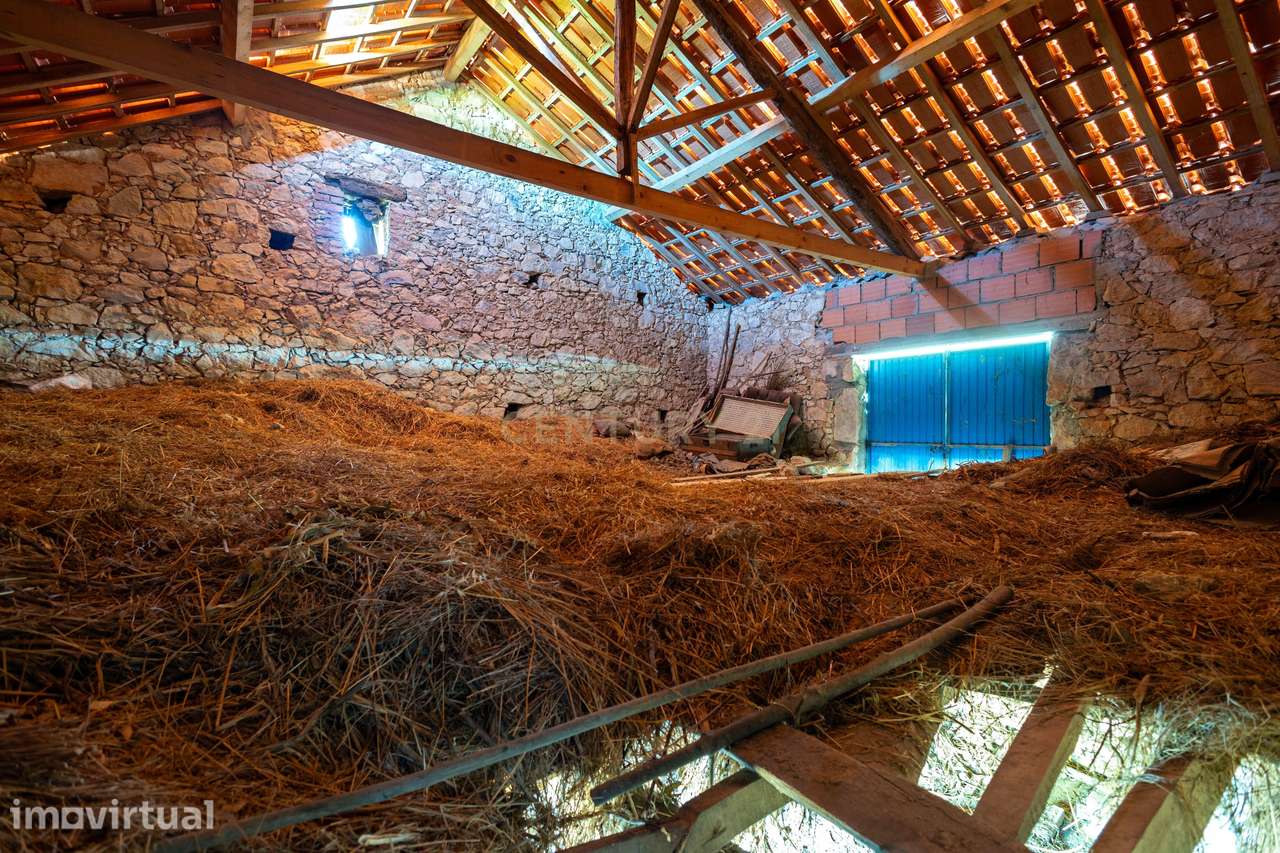 Moradia Tradicional com 2.358 m² de Terreno e Telhado Renovado | Tomar - Grande imagem: 4/33