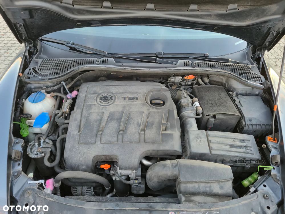 Skoda Octavia 1.6 TDI DPF FAMILY - 13