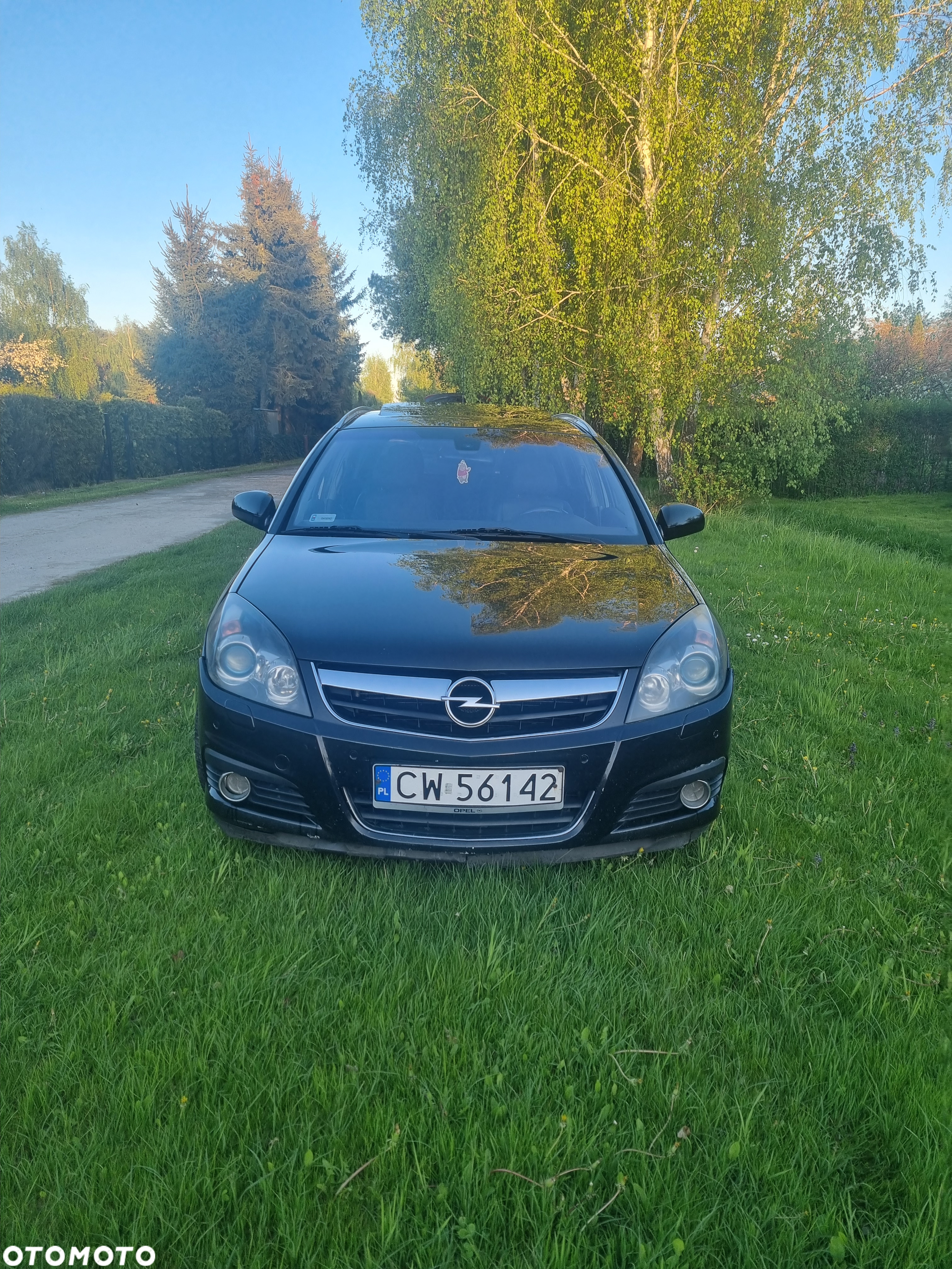 Opel Signum - 2