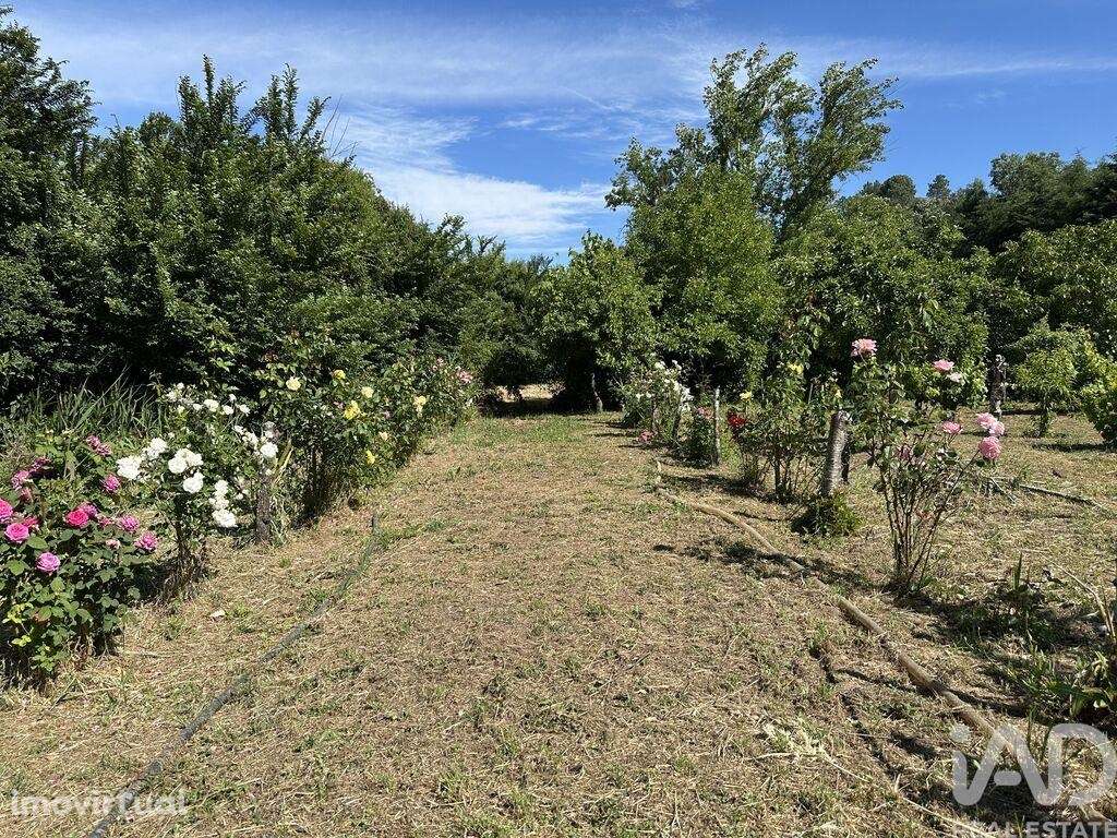Terreno em Arneiro das Milhariças de 259,00 m2 - Grande imagem: 3/21