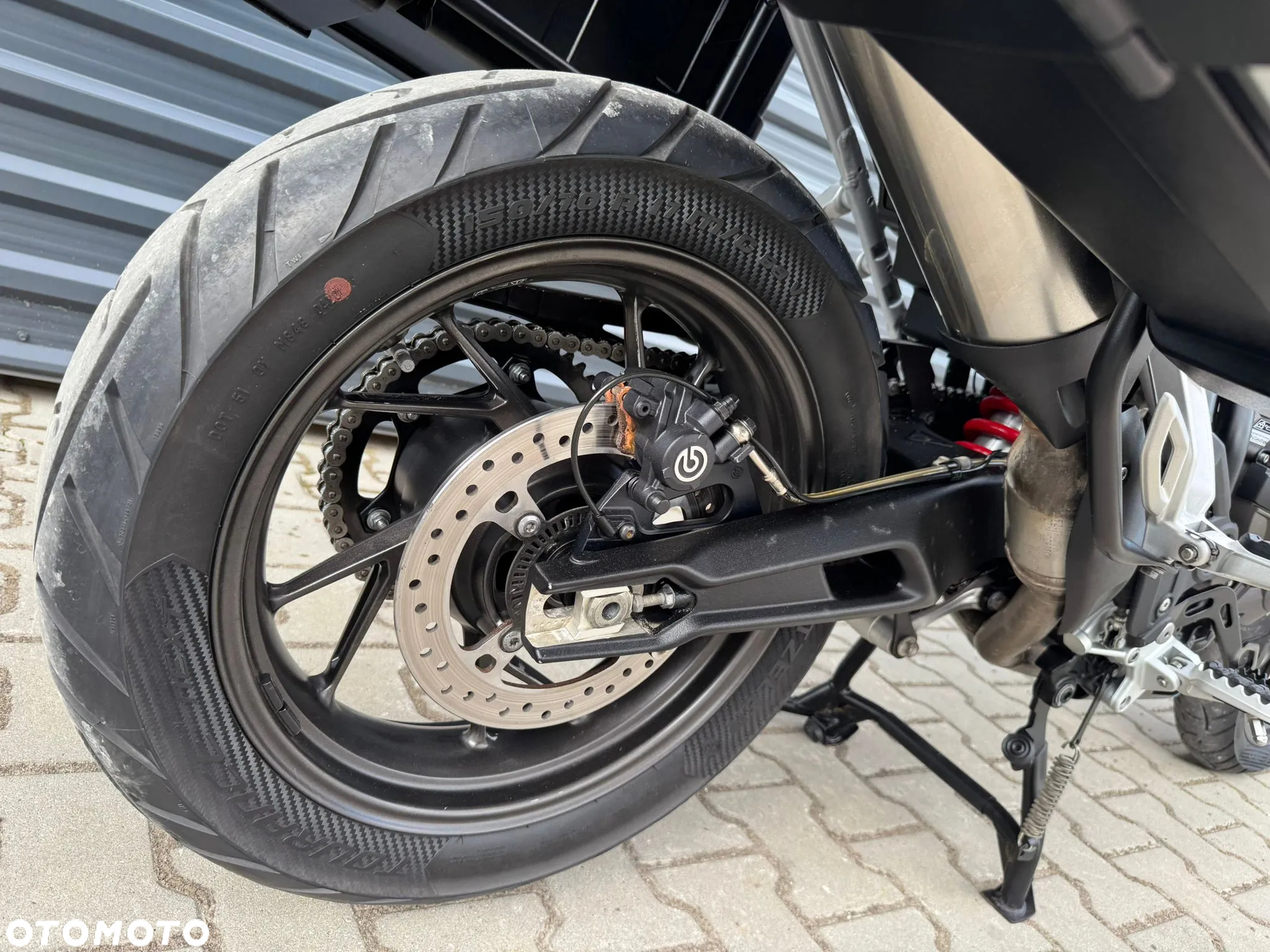 Triumph Tiger - 17