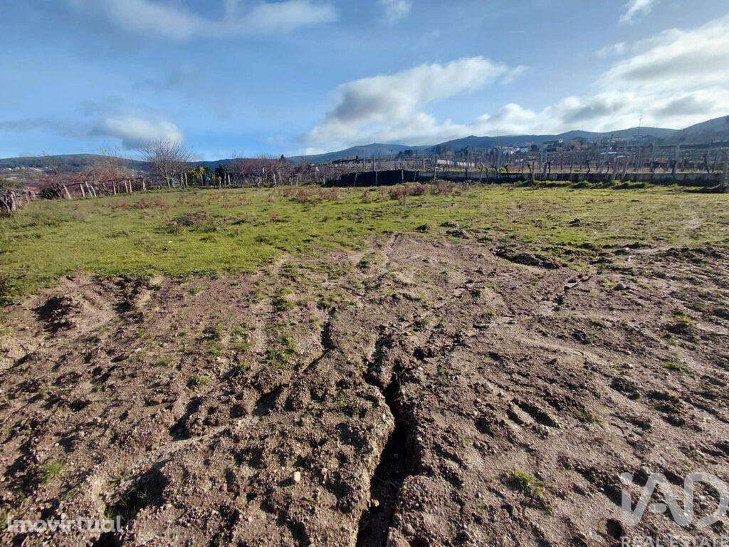 Terreno em Paderne - Grande imagem: 3/9