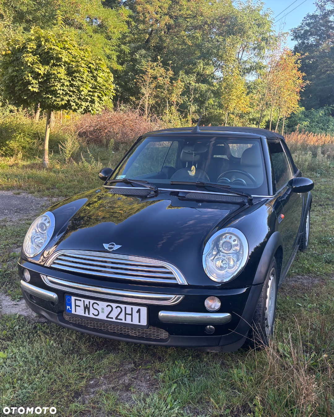 MINI Cooper Cabrio - 7
