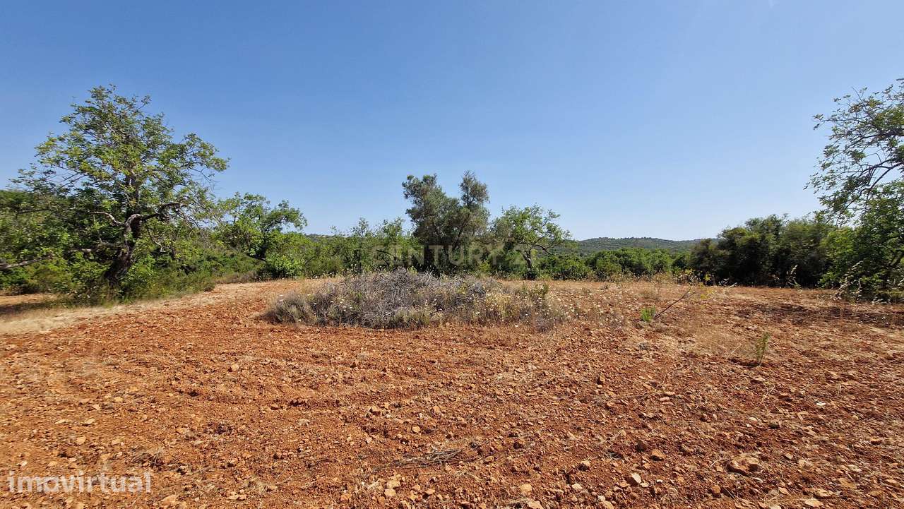 Terreno, 6 000 m², Paderne - Grande imagem: 3/11