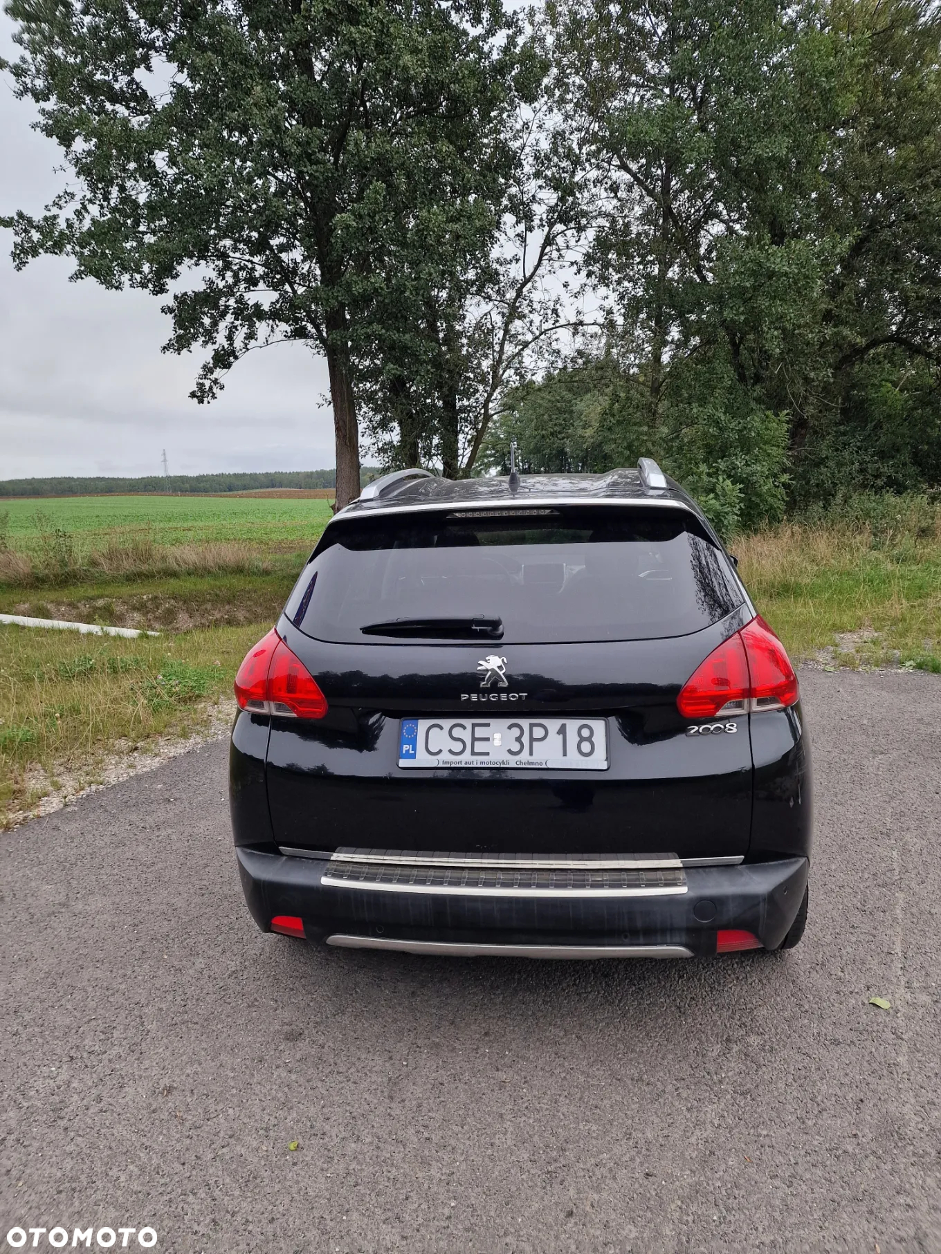 Peugeot 2008 - 4