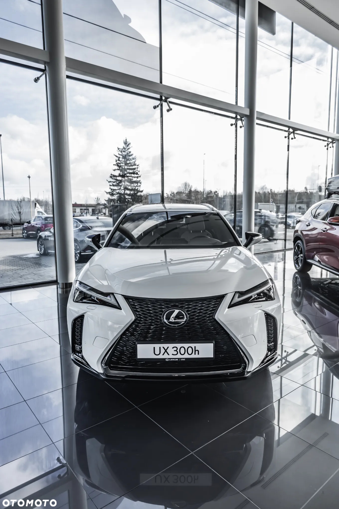 Lexus UX 300h F Sport Design AWD - 2