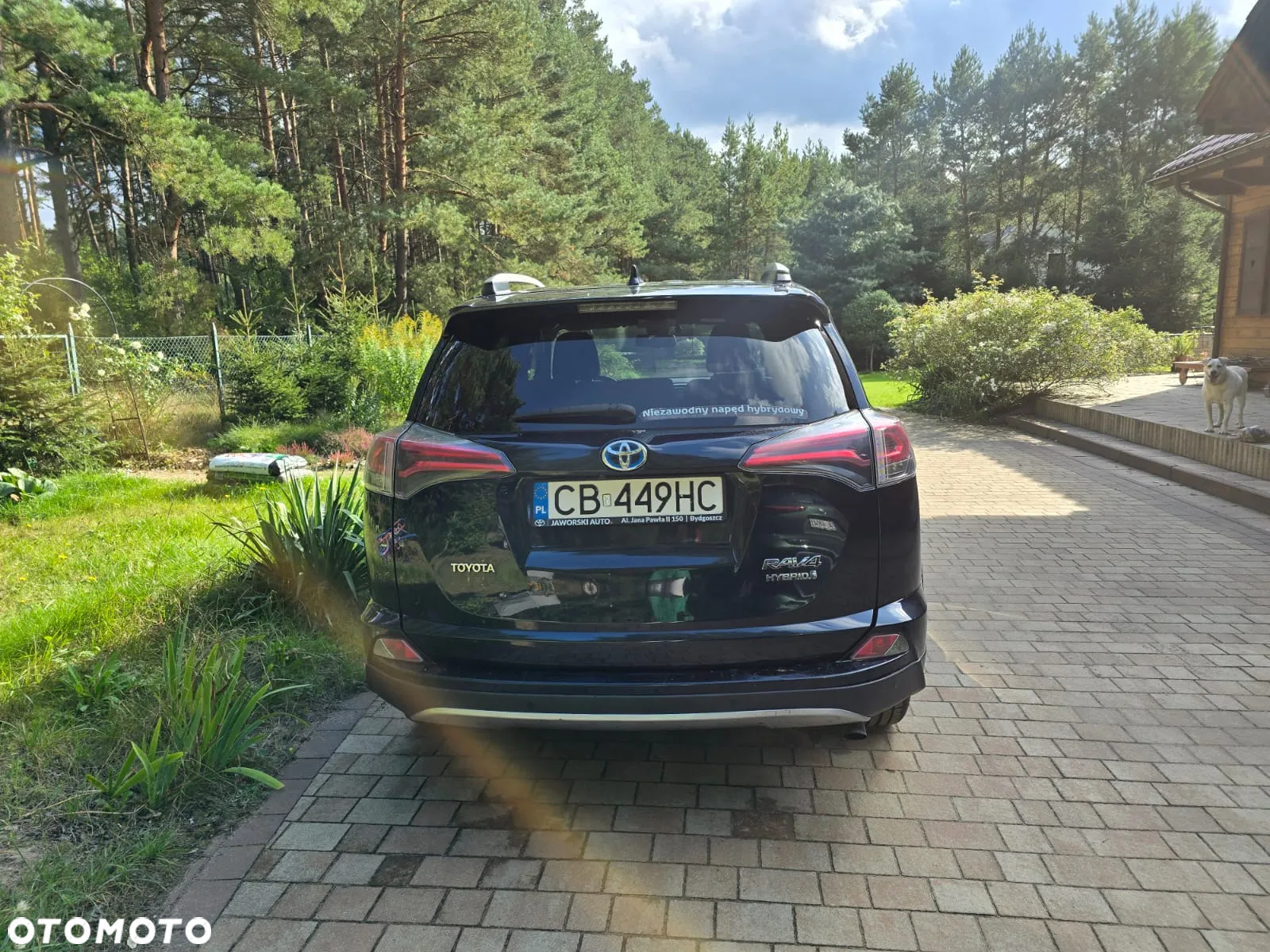 Toyota RAV4 Hybrid Prestige 4x2 - 10