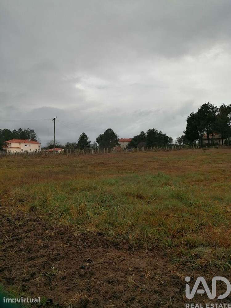 Terreno para construção em Vale de Anta de 9521,00 m2 - Grande imagem: 2/5