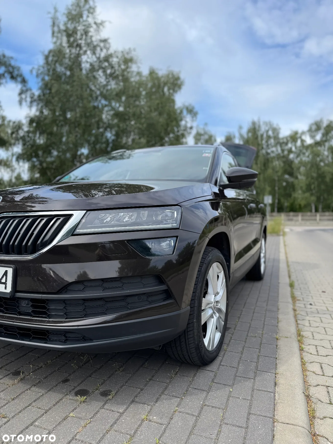 Skoda Karoq 1.6 TDI 4x2 Style - 5