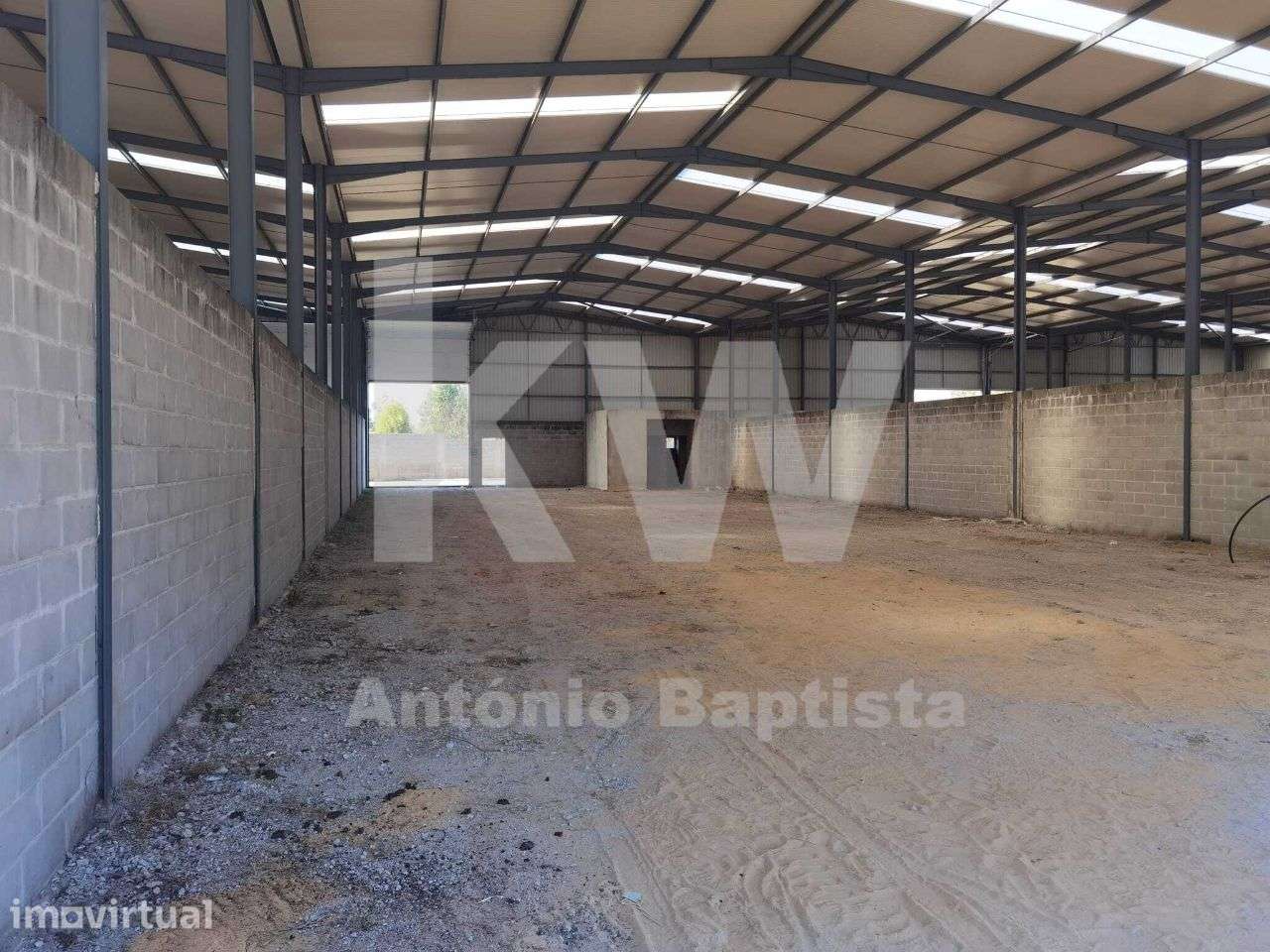 Armazém - Pavilhão, Zona Industrial da Palhaça - Grande imagem: 4/20