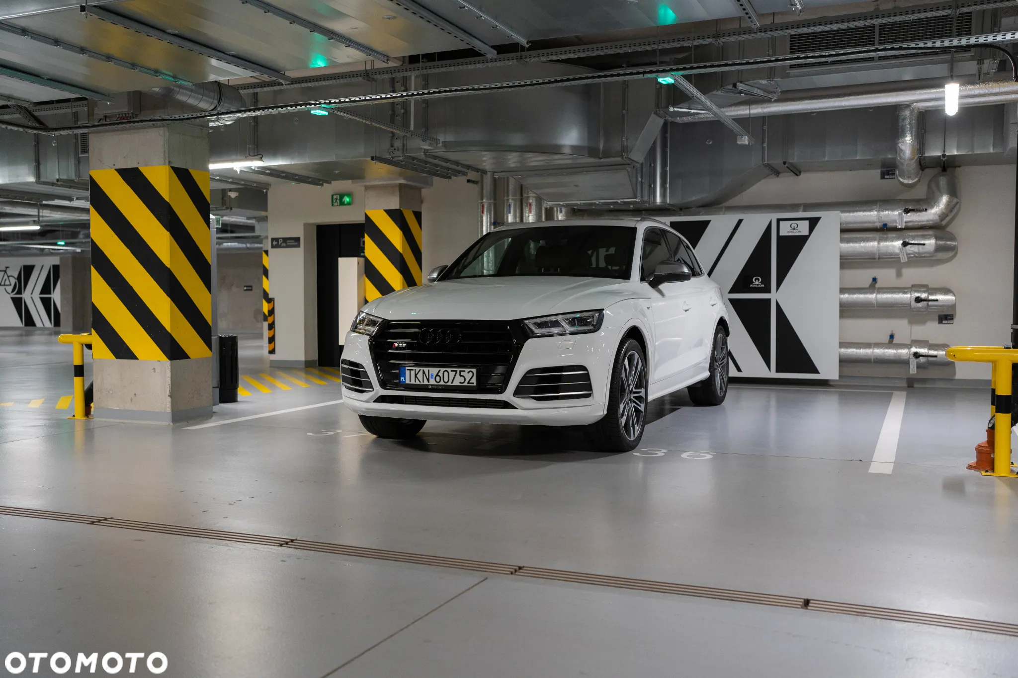 Audi SQ5 3.0 TFSI Quattro Tiptronic - 14