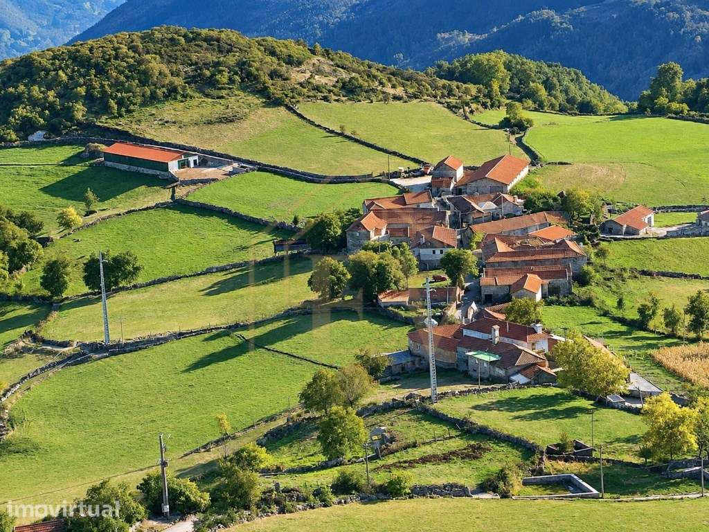 TERRENO COM PROJETO APROVADO | TRAVASSÔ - CABECEIRAS DE BASTO - Grande imagem: 4/4