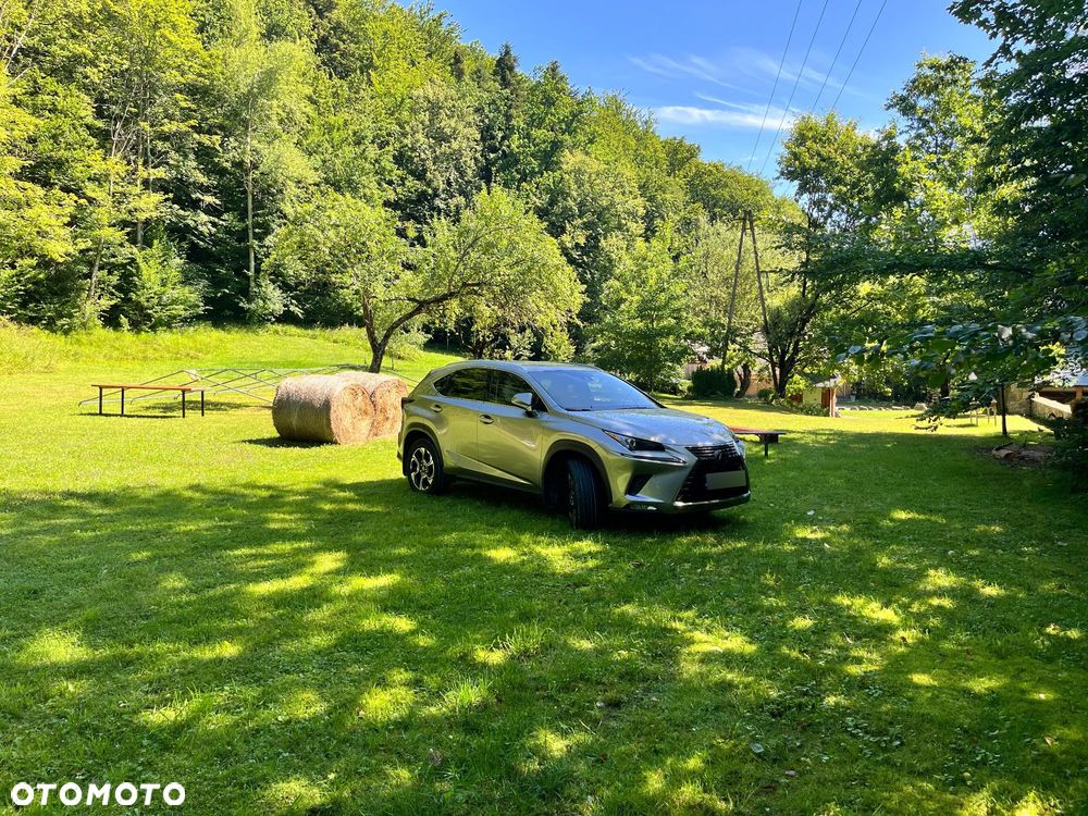 Lexus NX 300h Elegance AWD - 34