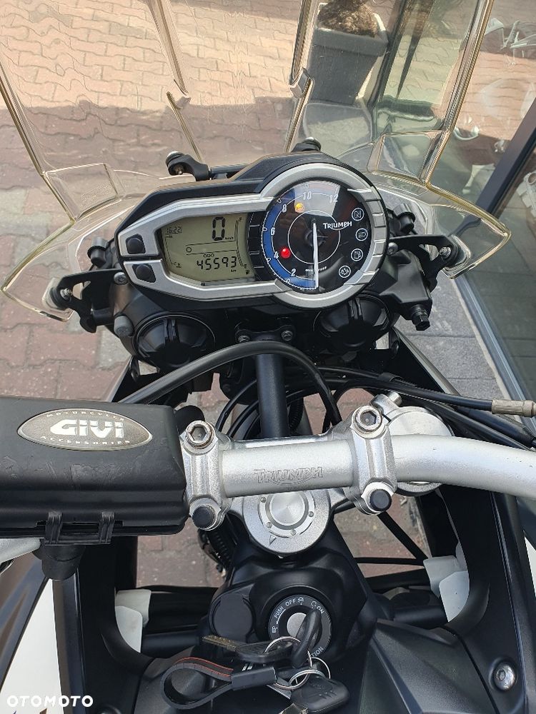 Triumph Tiger - 13