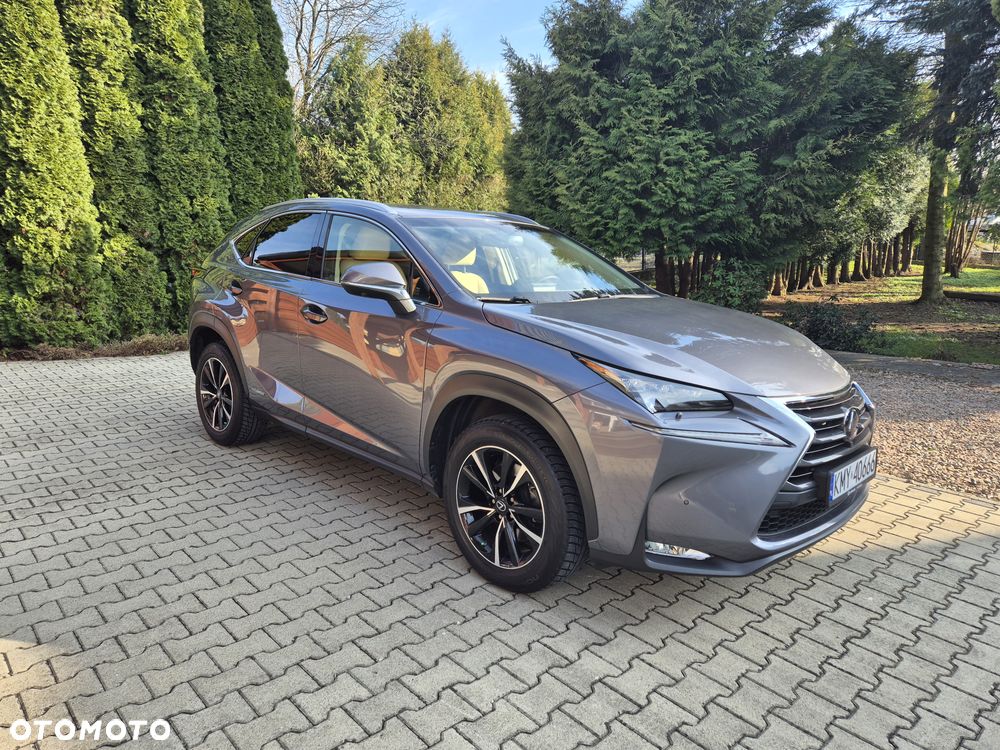 Lexus NX 300h Prestige AWD - 5