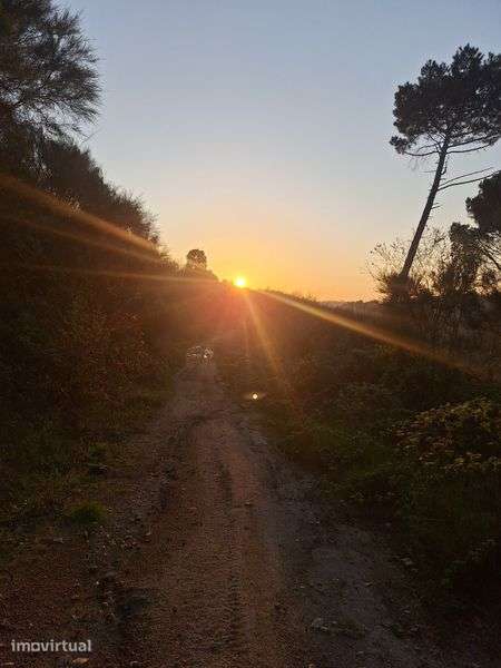 Terreno em Oliveira do Hospital 7800m²  beira rio. - Grande imagem: 5/5