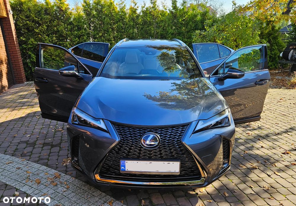 Lexus UX 250h GPF F Sport Design 2WD - 12
