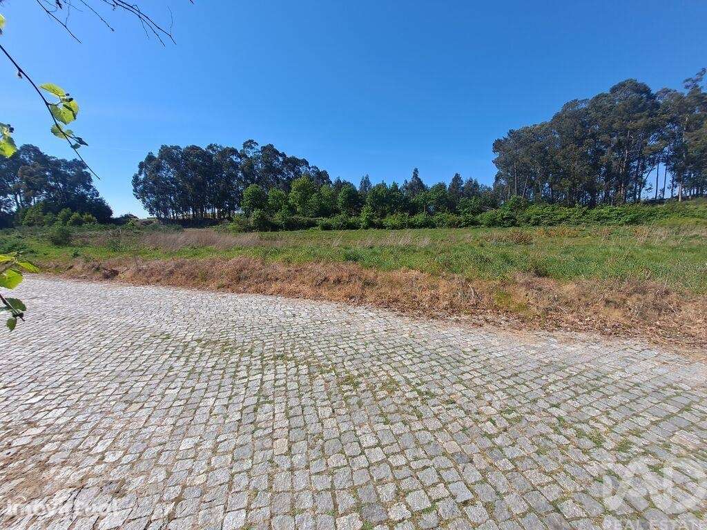 Terreno Agrícola em Bustelo - Grande imagem: 5/12