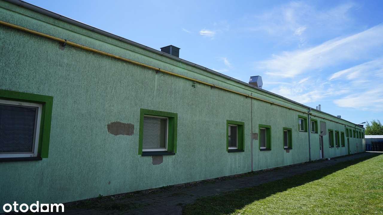 Nieruchomość produkcyjno-magazynowa 2484 m² Człuchów blisko DK25 - Pełny obrazek: 3/16