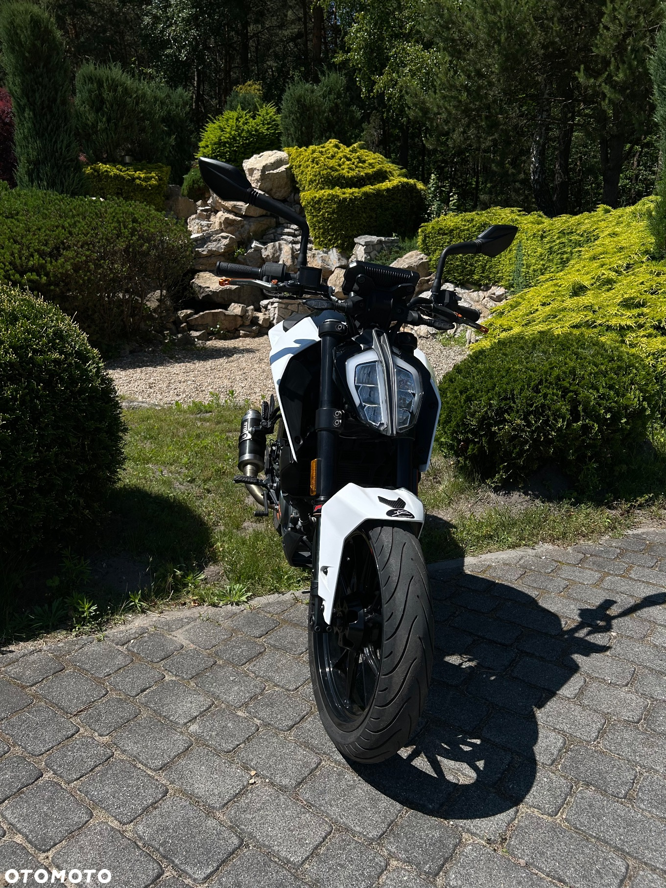 KTM Duke - 8