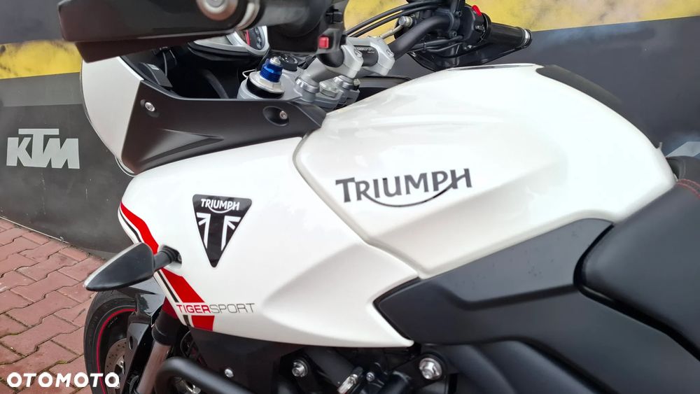 Triumph Tiger - 19