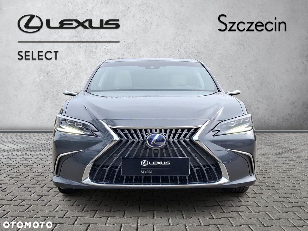 Lexus ES 300h Omotenashi - 8