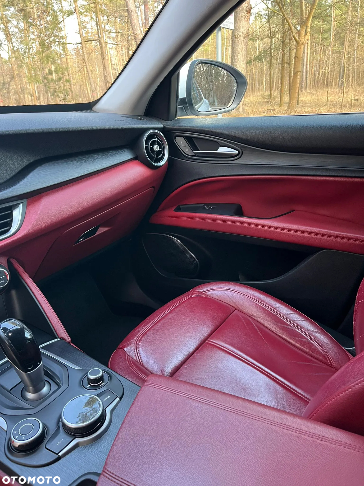 Alfa Romeo Stelvio 2.0 Turbo Executive Q4 - 14