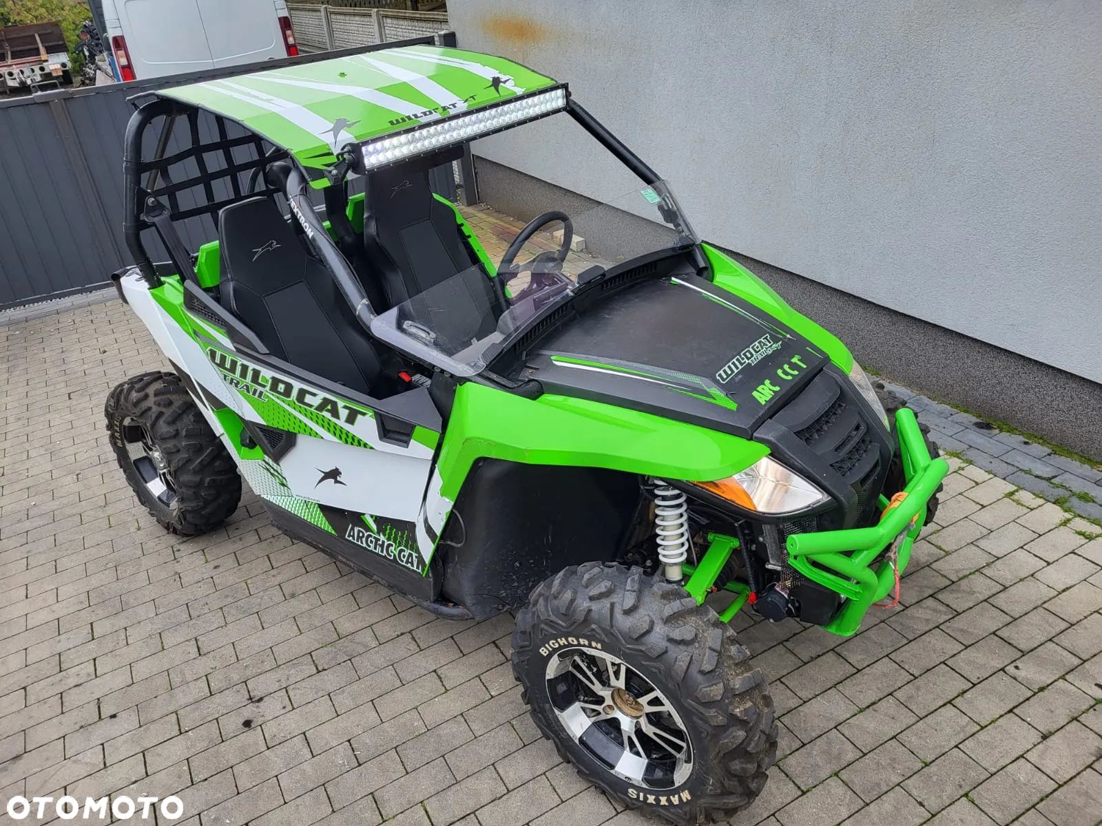 Arctic Cat Inny
