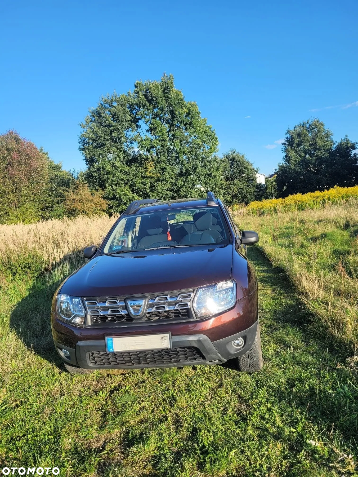 Dacia Duster 1.6 SCe Ambiance S&S - 4