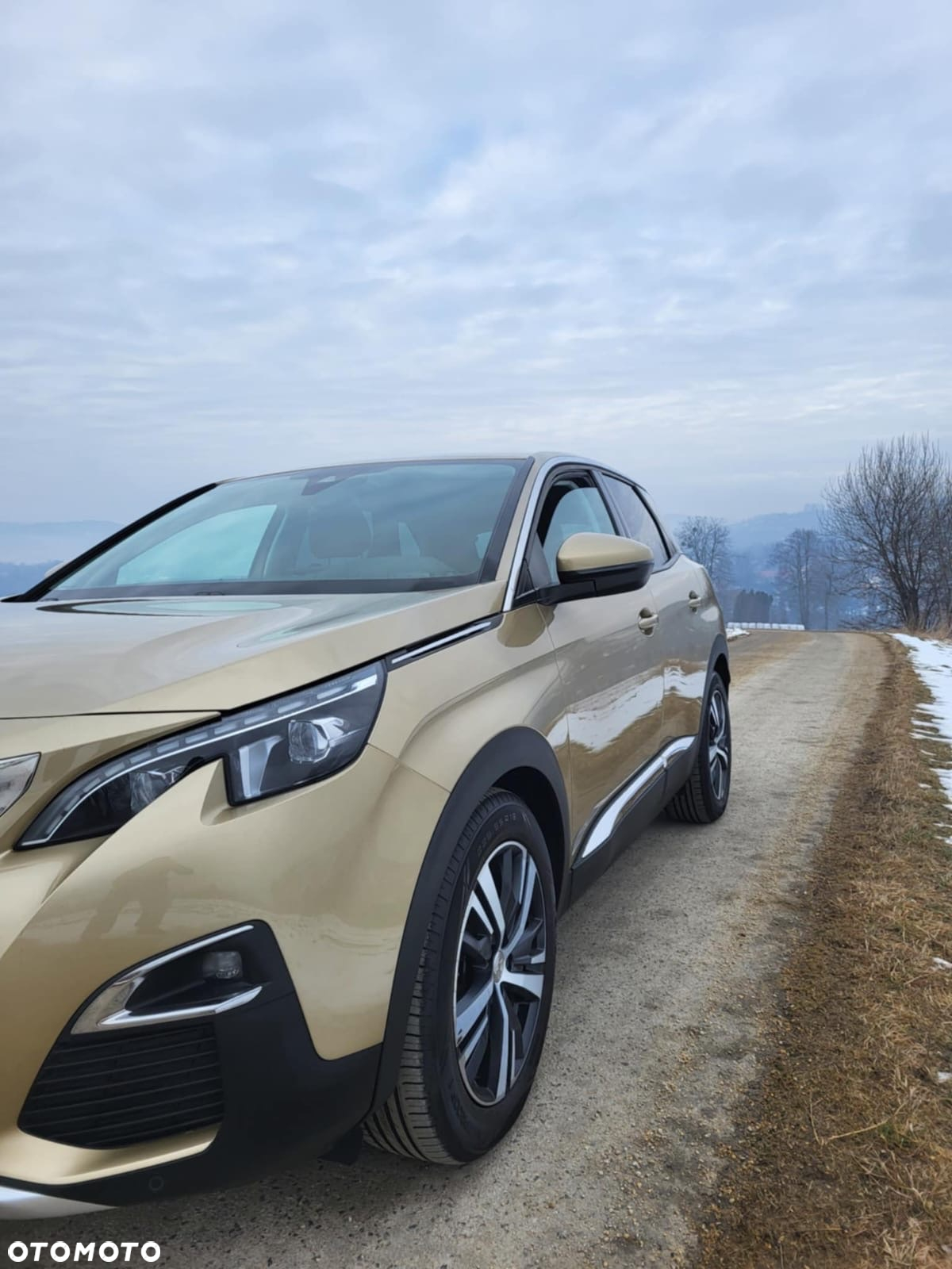 Peugeot 3008 PureTech 130 Stop & Start GPF EAT8 Allure Business-Paket - 4