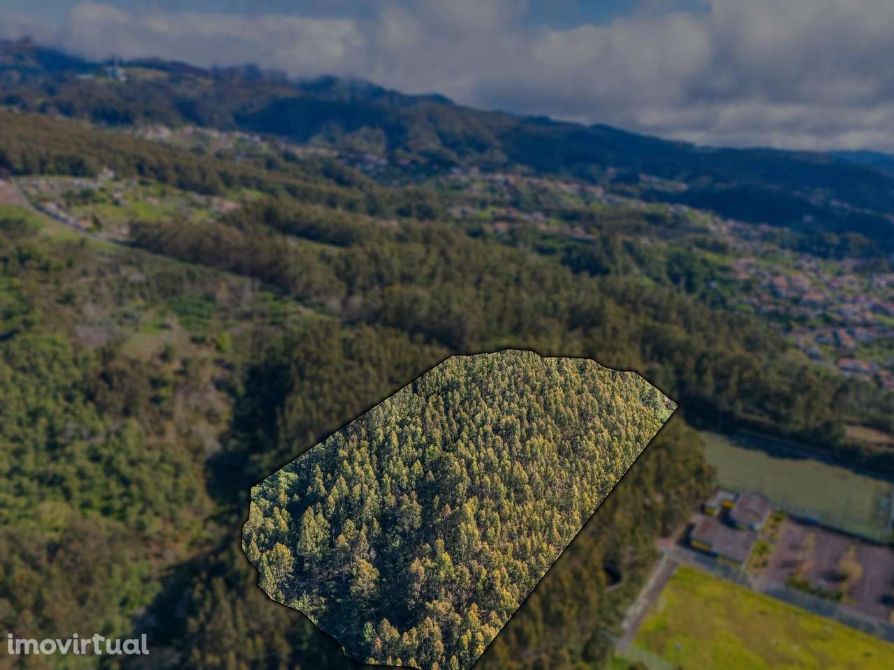 Terreno na Camacha de 24.430m2 - Grande imagem: 5/14