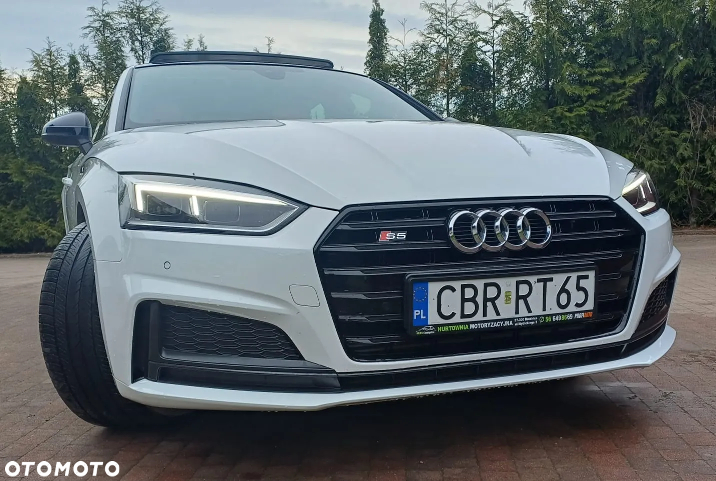Audi S5 3.0 TFSI Quattro Tiptronic - 15