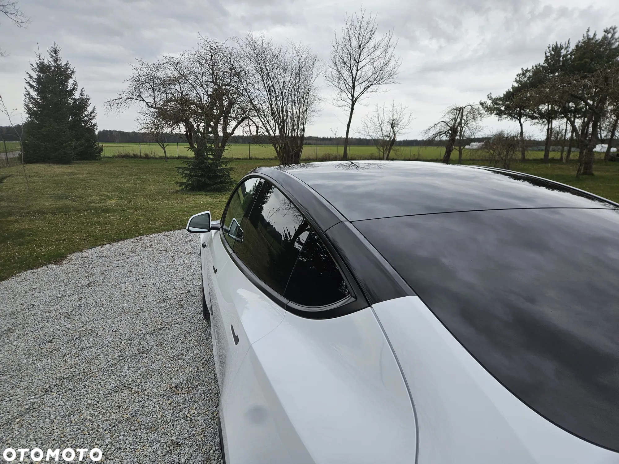 Tesla Y Model RWD - 10
