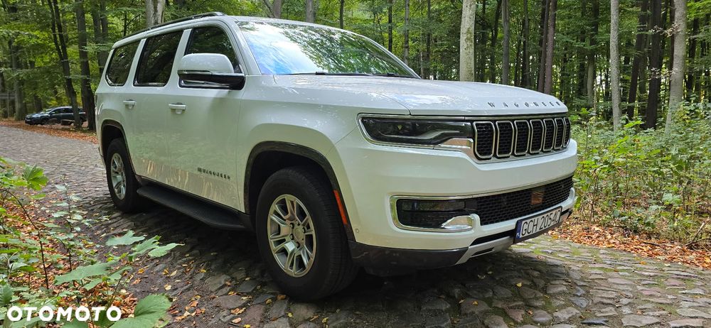 Jeep Wagoneer - 19