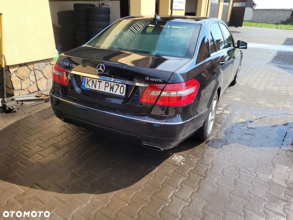Mercedes-Benz Klasa E 350 CDI 4-Matic BlueEff Elegance - 16
