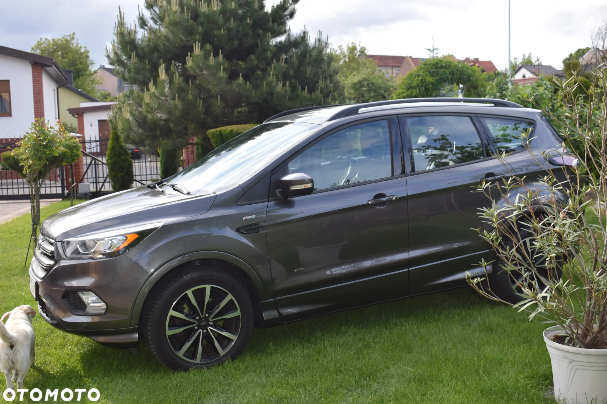 Ford Kuga 2.0 TDCi 4x4 ST-Line - 7