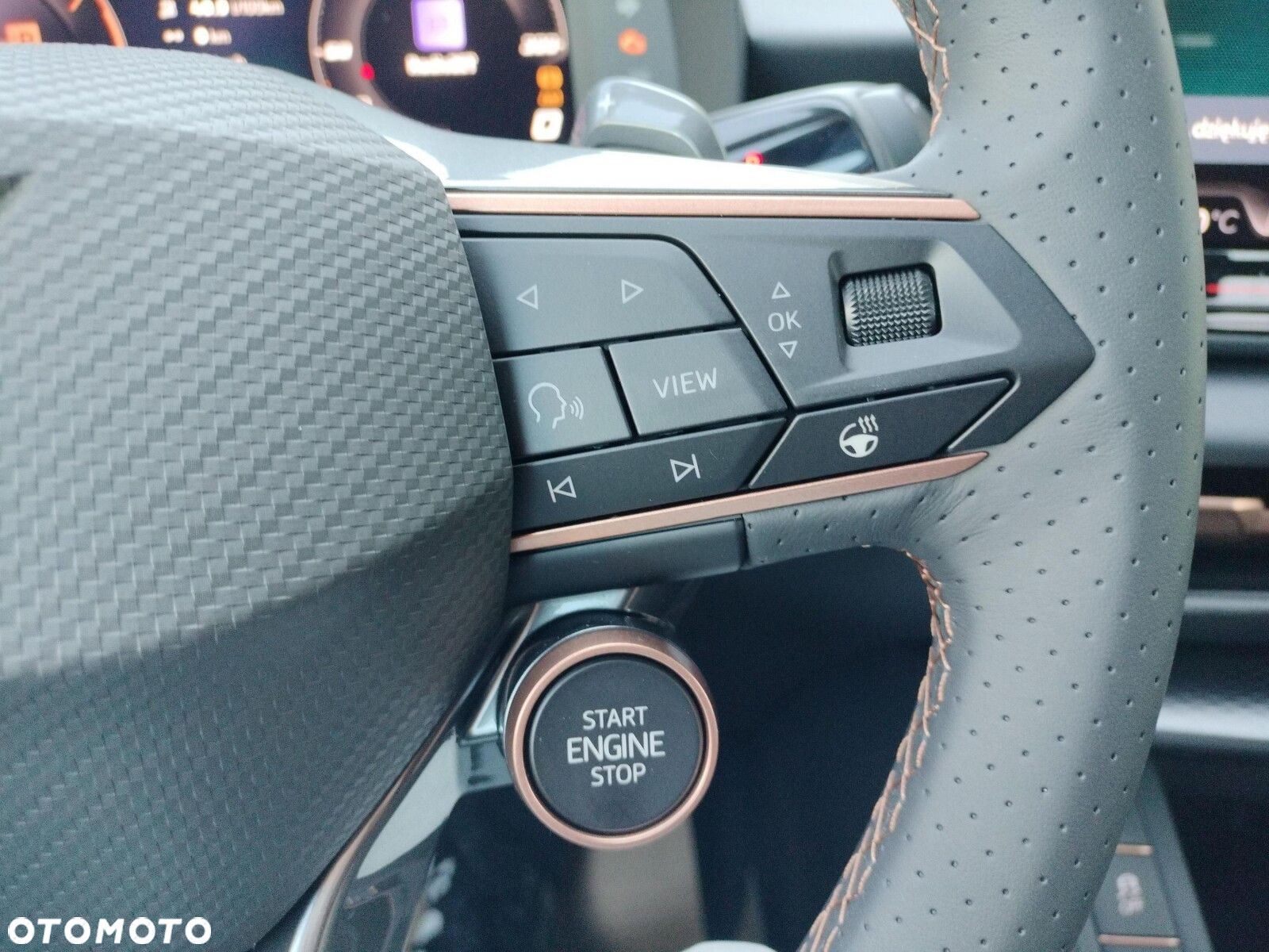 Cupra Terramar 2.0 TSI 4Drive DSG - 25