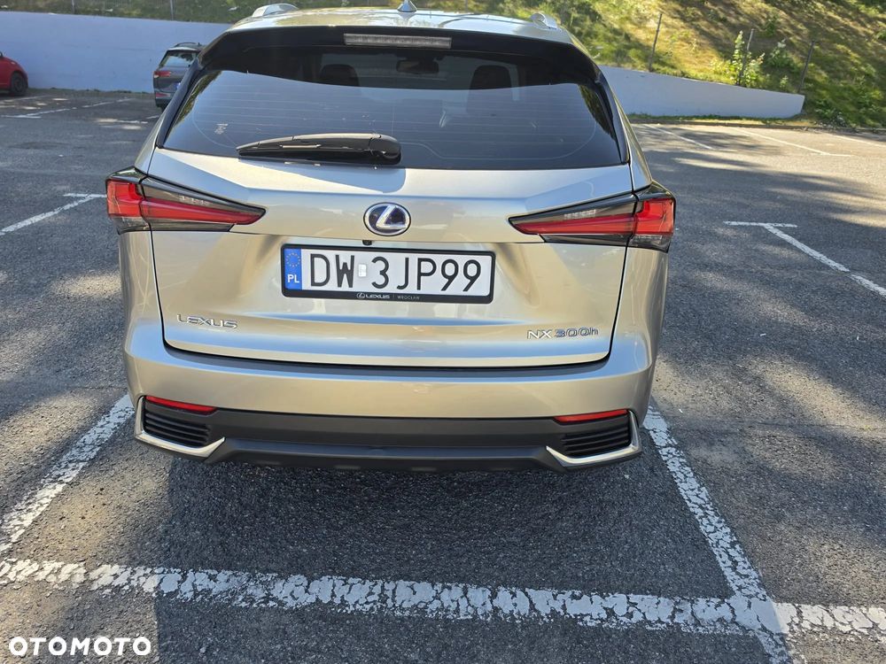 Lexus NX - 10