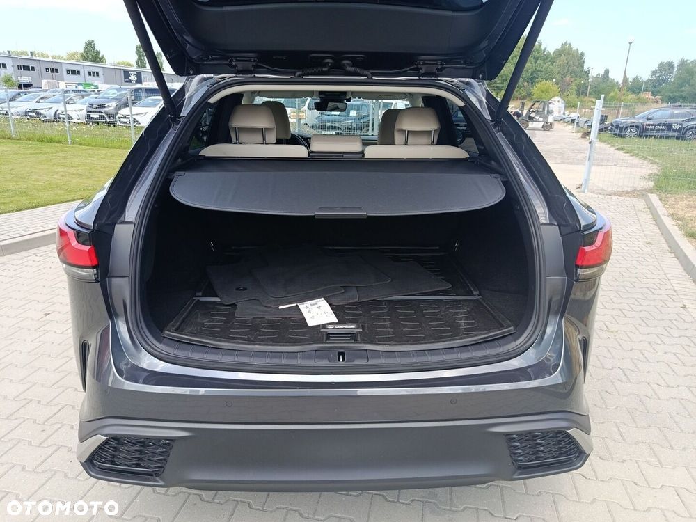 Lexus RX - 13