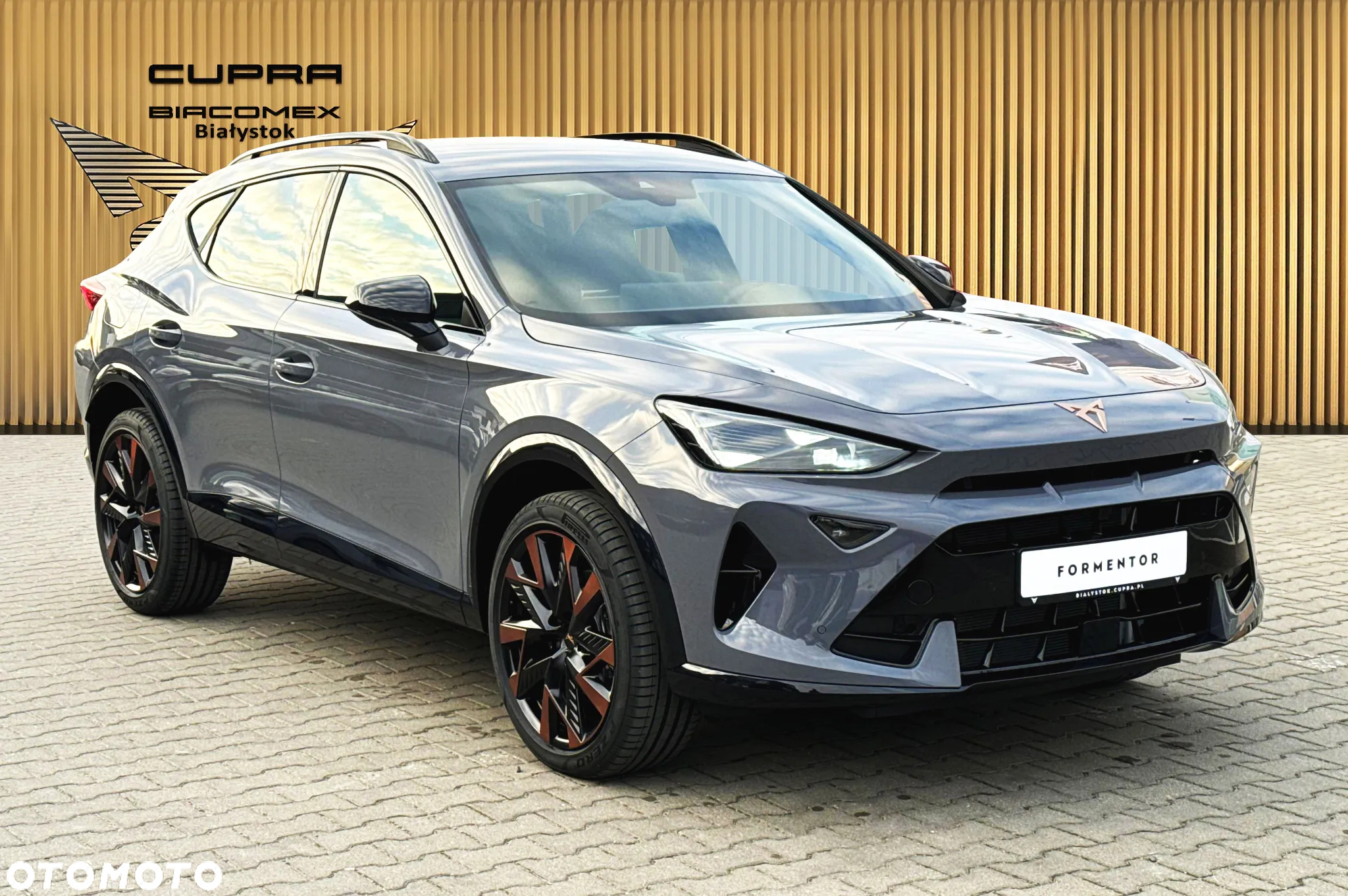 Cupra Formentor 1.5 TSI DSG - 8