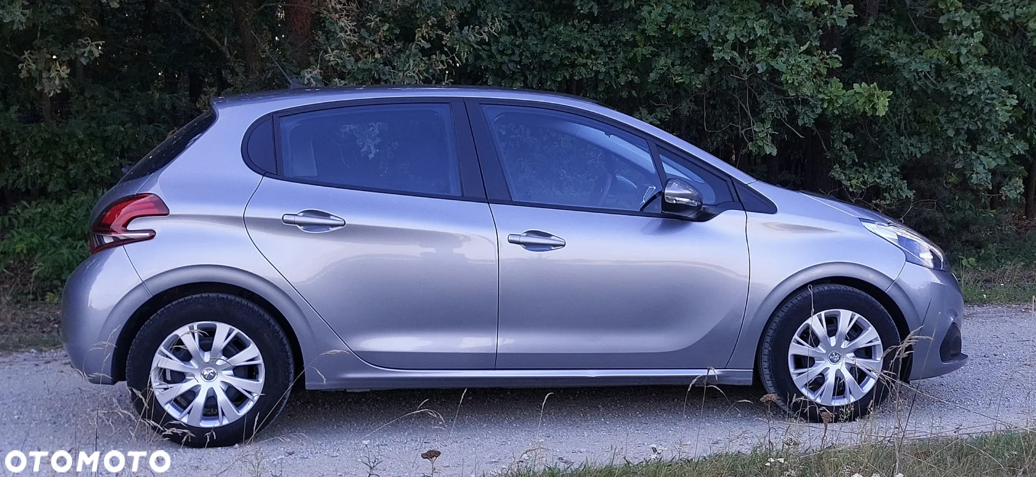 Peugeot 208 1.5 BlueHDi Active S&S - 7