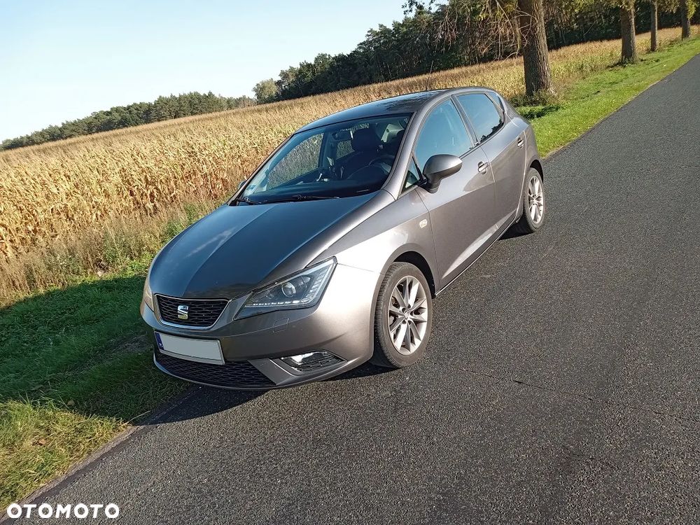 Seat Ibiza - 19