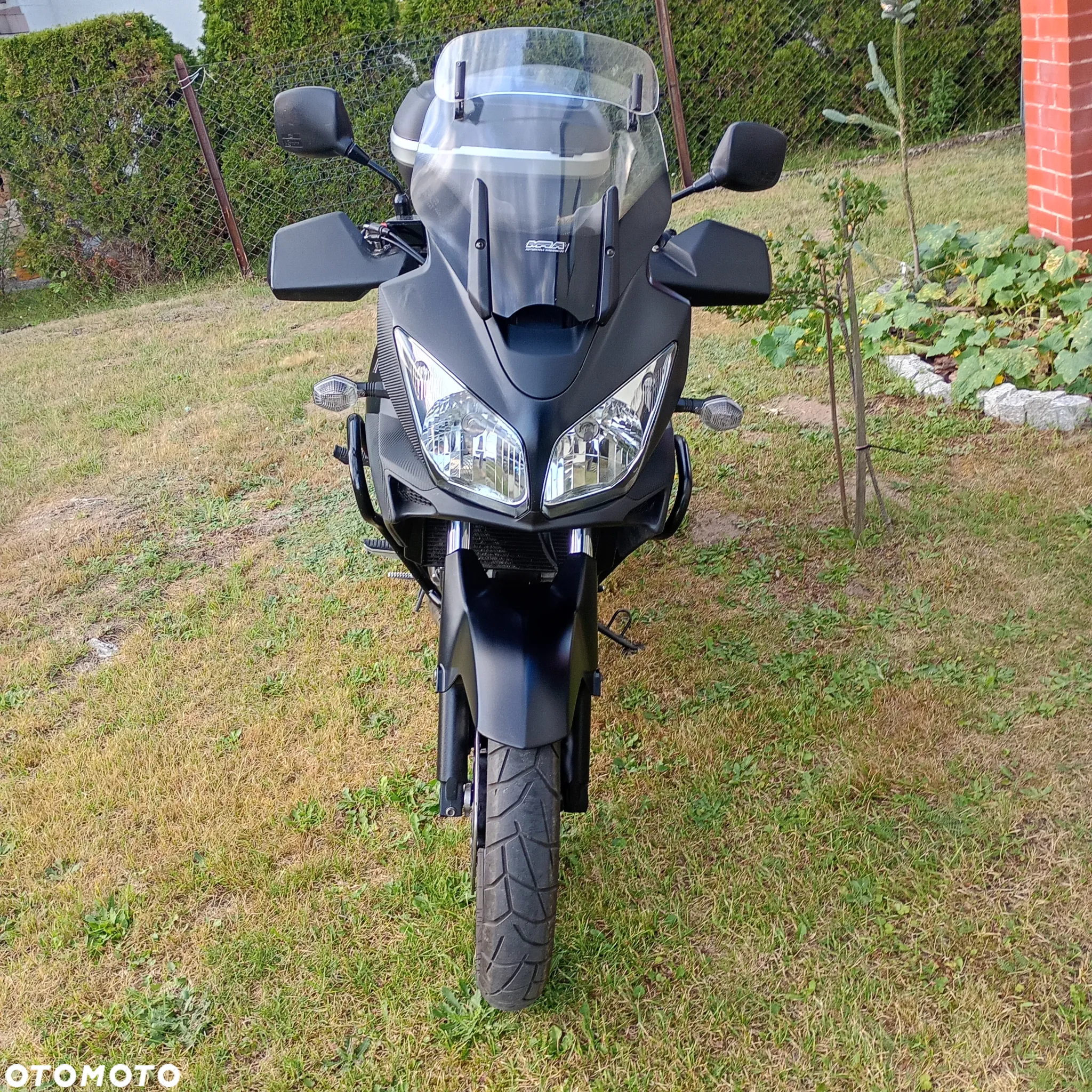 Suzuki DL - 3