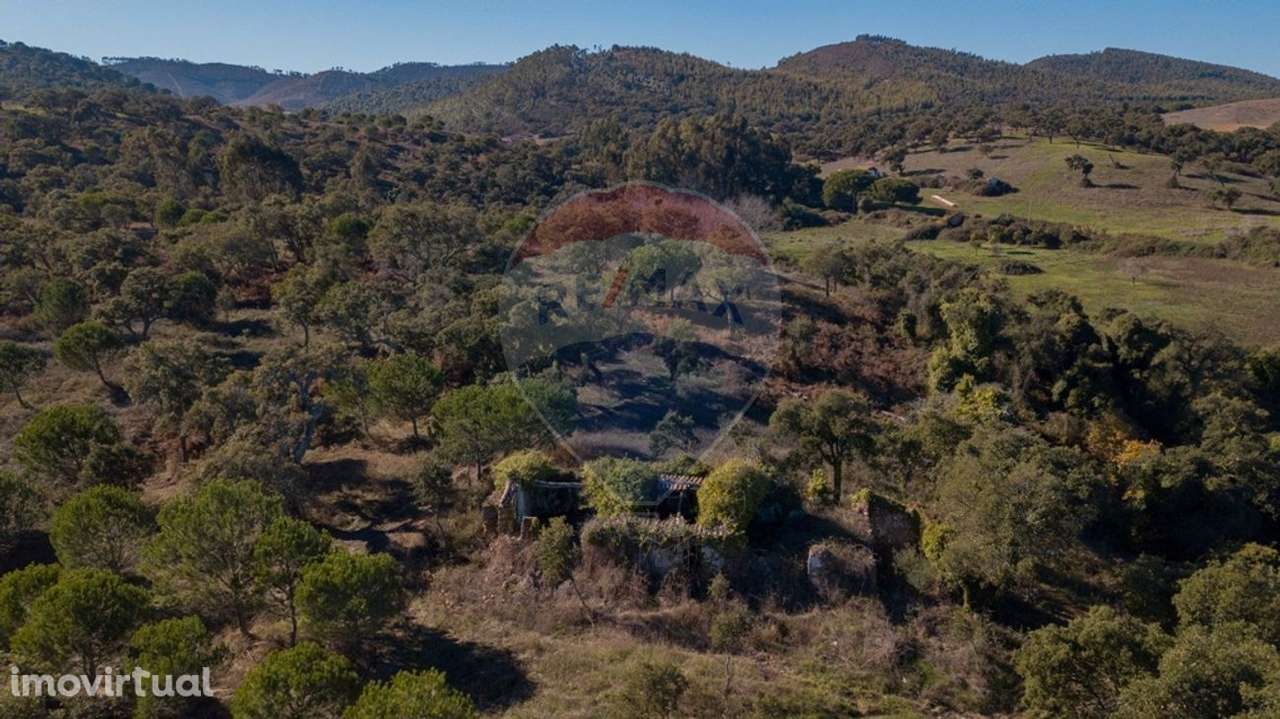 Quinta  para venda - Grande imagem: 3/19