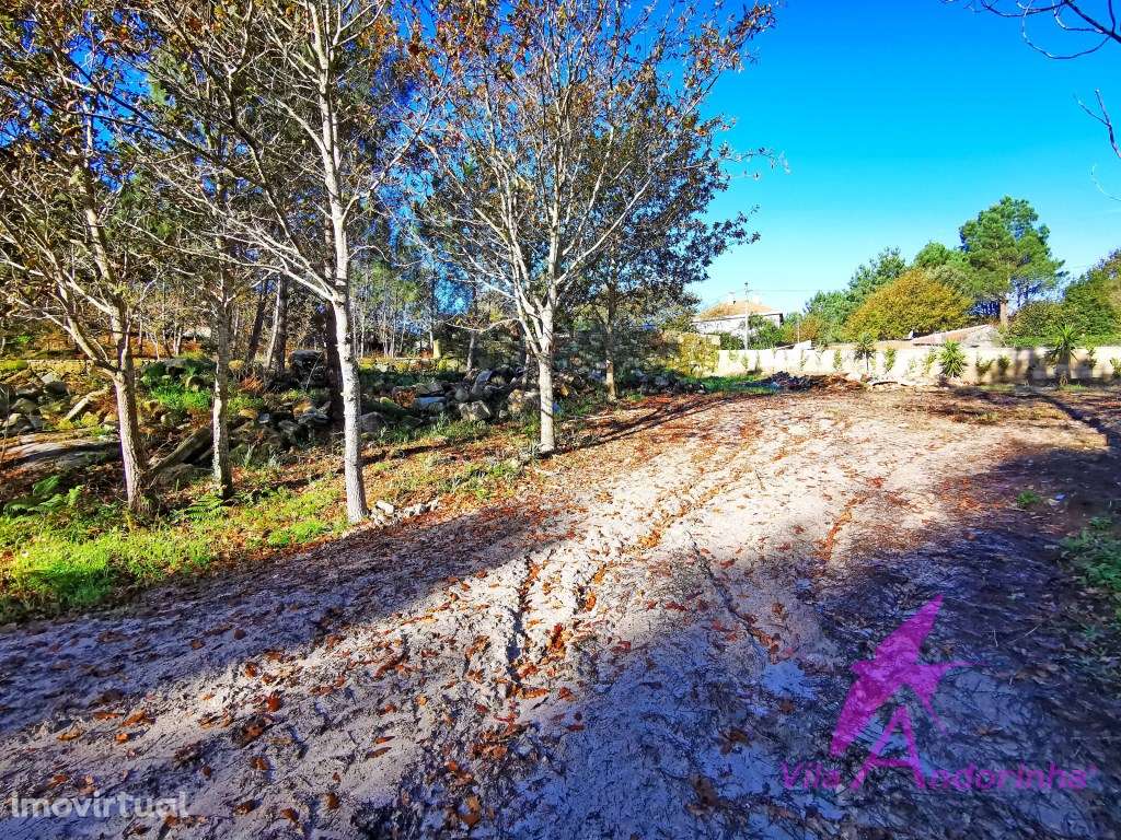 Terreno com 7740 m2 em Freixieiro de Soutelo, ao lado do rio Âncora... - Grande imagem: 5/42